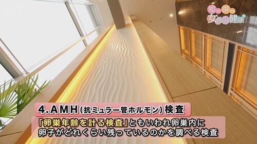 0810 女性の健康３.jpg