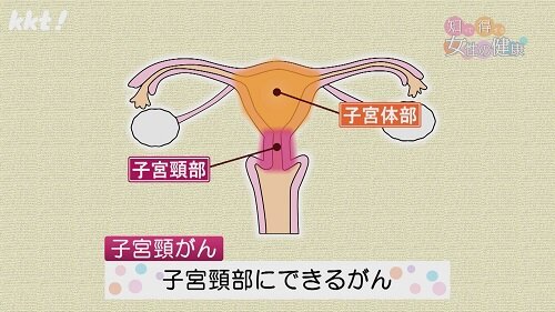 1216知っ得１.jpg