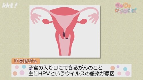 0824 女性の健康１.jpg