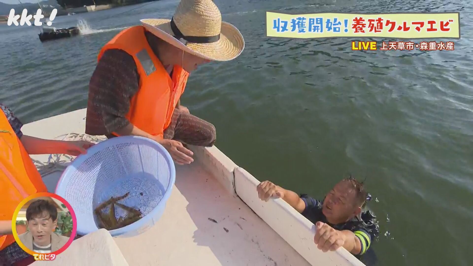 熊本発祥!車エビの養殖場