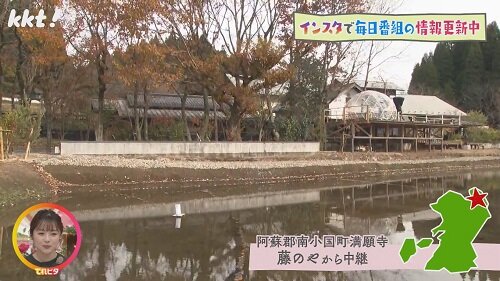 藤のや