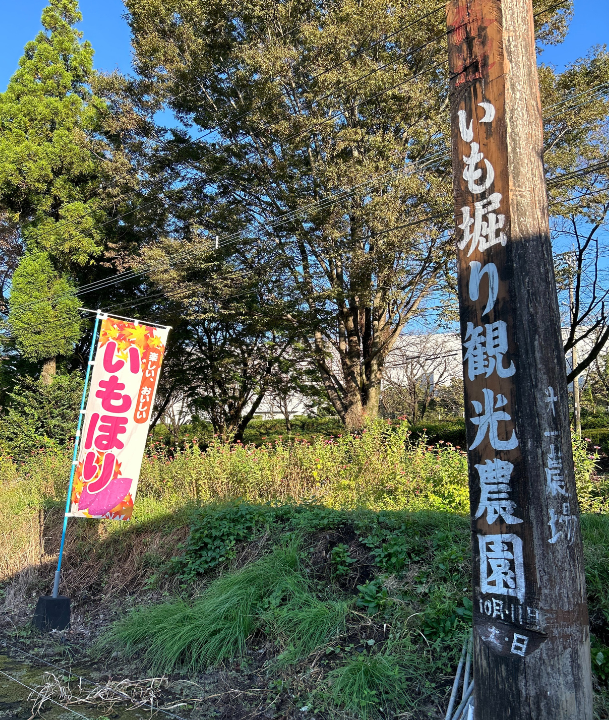 2 - コピー.png