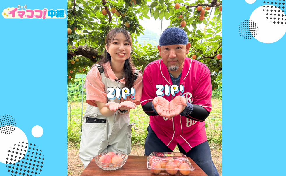 玉名郡玉東町の「ハニーローザ畑」から中継♪